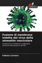 Fabiana Carneiro - Fusione di membrana indotta dal virus della stomatite vescicolare