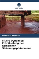 Prabhakar Bhandari - Slurry Dynamics: Enträtselung der komplexen Strömungsphänomene