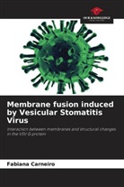 Fabiana Carneiro - Membrane fusion induced by Vesicular Stomatitis Virus