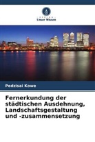 Pedzisai Kowe - Fernerkundung der städtischen Ausdehnung, Landschaftsgestaltung und -zusammensetzung