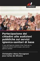 Christopher Abreu Ravagnani, José Carlos de Oliveira - Partecipazione dei cittadini alle audizioni pubbliche sui servizi igienico-sanitari di base