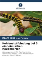Mbata Koko Jean Fernand - Kohlenstoffbindung bei 3 einheimischen Raupenarten
