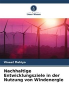 Vineet Dahiya - Nachhaltige Entwicklungsziele in der Nutzung von Windenergie