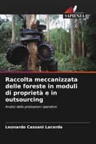 Leonardo Cassani Lacerda - Raccolta meccanizzata delle foreste in moduli di proprietà e in outsourcing