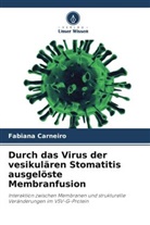 Fabiana Carneiro - Durch das Virus der vesikulären Stomatitis ausgelöste Membranfusion