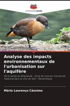 Mário Lourenço Cássimo - Analyse des impacts environnementaux de l'urbanisation sur l'aquifère