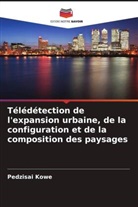 Pedzisai Kowe - Télédétection de l'expansion urbaine, de la configuration et de la composition des paysages