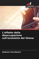 Andrews Yao Dumevi - L'effetto della disoccupazione sull'economia del Ghana
