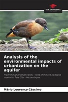 Mário Lourenço Cássimo - Analysis of the environmental impacts of urbanization on the aquifer