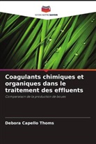Débora Capello Thoms - Coagulants chimiques et organiques dans le traitement des effluents