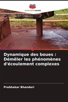 Prabhakar Bhandari - Dynamique des boues : Démêler les phénomènes d'écoulement complexes