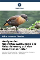 Mário Lourenço Cássimo - Analyse der Umweltauswirkungen der Urbanisierung auf den Grundwasserleiter