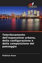 Pedzisai Kowe - Telerilevamento dell'espansione urbana, della configurazione e della composizione del paesaggio