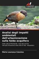 Mário Lourenço Cássimo - Analisi degli impatti ambientali dell'urbanizzazione sulla falda acquifera