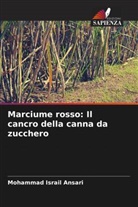 Mohammad Israil Ansari - Marciume rosso: Il cancro della canna da zucchero