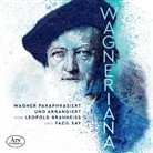 Richard Brauneiss Wagner, Norbert David Ernst - Wagneriana, 1 CD (Hörbuch)