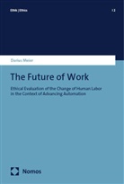 Darius Meier - The Future of Work