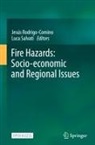 Jesús Rodrigo-Comino, Luca Salvati - Fire Hazards: Socio-economic and Regional Issues