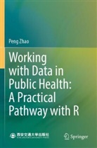 Peng Zhao - Working with Data in Public Health: A Practical Pathway with R