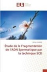 Bintou Coulibaly - Étude de la Fragmentation de l'ADN Spermatique par la technique SCD