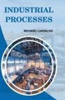 Richard Carvalho - Industrial Processes
