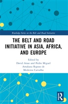 David Amakasu Raposo De Medeiros Carvalho Arase, Pedro Miguel Amakasu Raposo de Medeiros Carvalho, David Arase, Arase David - Belt and Road Initiative in Asia, Africa, and Europe