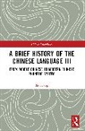 Xi Xiang - Brief History of the Chinese Language III