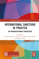 Antonio Giumelli Bultrini, Antonio Bultrini, Francesco Giumelli, Giumelli Francesco, Clara Portela, Portela Clara... - International Sanctions in Practice