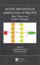 Yulei He, Yulei Zhang He, Chiu-Hsieh Hsu, Guangyu Zhang - Multiple Imputation of Missing Data in Practice