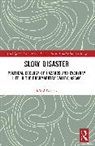 Mitul Baruah - Slow Disaster