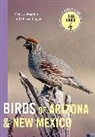 Melissa Fratello, Melissa/ Prager. Fratello, Steven Prager, Steven Prager. - Birds of Arizona and New Mexico