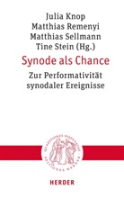 Julia Knop, Matthias Remenyi, Matthias Sellmann, Matthias Sellmann u a, Tine Stein - Synode als Chance
