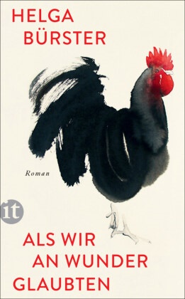Helga Bürster - Als wir an Wunder glaubten - Roman