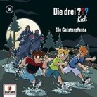 Ulf Blanck - Die Geisterpferde (Hörbuch)