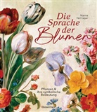 Marina Heilmeyer - Die Sprache der Blumen. Pflanzen und ihre symbolische Bedeutung