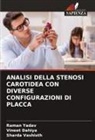 Vineet Dahiya, Sharda Vashisth, Raman Yadav - ANALISI DELLA STENOSI CAROTIDEA CON DIVERSE CONFIGURAZIONI DI PLACCA