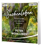 Peter Wohlleben, Peter Kaempfe, Julia Nachtmann - Buchenleben, 1 Audio-CD, 1 MP3 (Audio book)