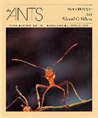 Bert Holldobler, Bert Hölldobler, Edward O. Wilson, Wilson Edward O. - The Ants