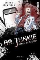 Stefan Schweizer - Dr. Junkie - Berlin im Rausch