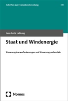 Leon Arvid Lieblang - Staat und Windenergie