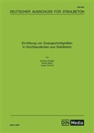 Albert Dridiger, Albert (Schnell) Dridiger, DAfStb - Ermittlung von Zwangschnittgrößen in Hochbaudecken aus Stahlbeton