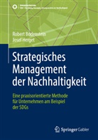 Robert Bodenstein, Josef Herget - Strategisches Management der Nachhaltigkeit