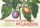 Anaconda Verlag - Postkarten-Set Vintage-Schaubilder Pflanzen