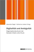 Alexander Degel, Liebsch, Katharina Liebsch - Digitalität und Ambiguität