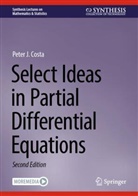 Peter J Costa, Peter J. Costa - Select Ideas in Partial Differential Equations