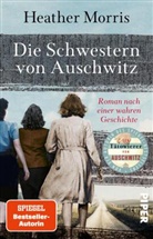 Heather Morris - Die Schwestern von Auschwitz