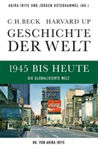 Akira Iriye, Wilfried Loth u a, Jürgen Osterhammel - Geschichte der Welt  1945 bis heute