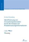 Annika Schwarberg - Identifizierung von Innovationspotenzialen durch die Analyse von Produktnutzungsinformationen