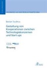 Bastian Studerus - Gestaltung von Kooperationen zwischen Technologiekonzernen und Start-ups