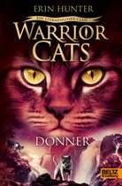 Erin Hunter, Anja Hansen-Schmidt - Warrior Cats - Ein sternenloser Clan. Donner